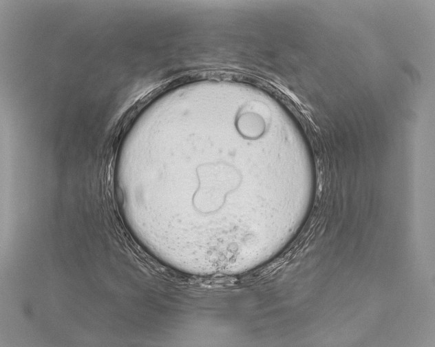 X0000114131255200911191115