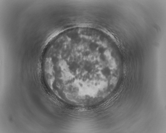 X0000114131263200911191115