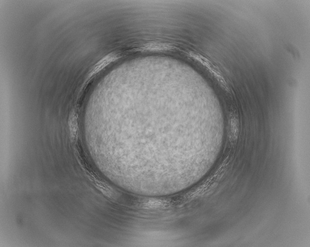 X0000114131266200911191115