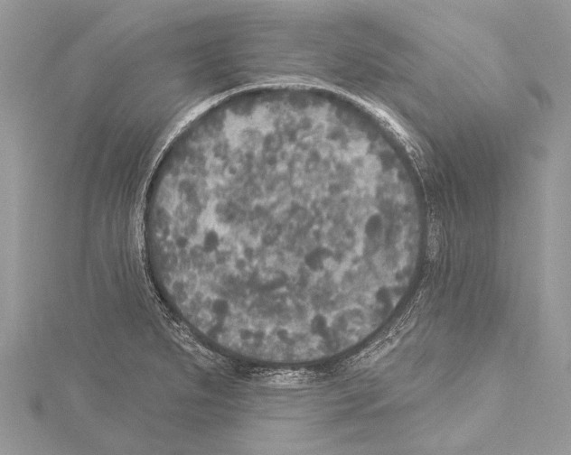 X0000114131279200911191115