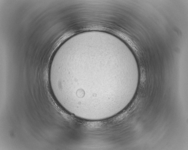 X0000114131282200911191115