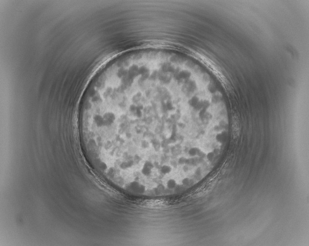 X0000114131283200911191115