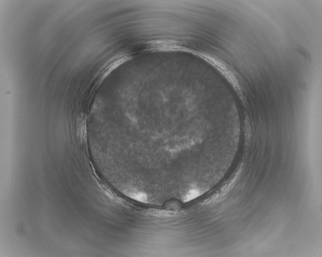 X0000114131289200911191115