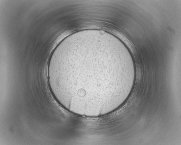 X0000114131290200911191115