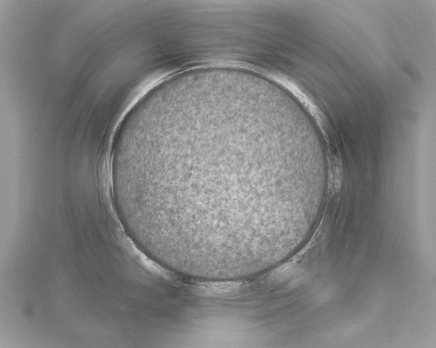 X0000114131294200911191115