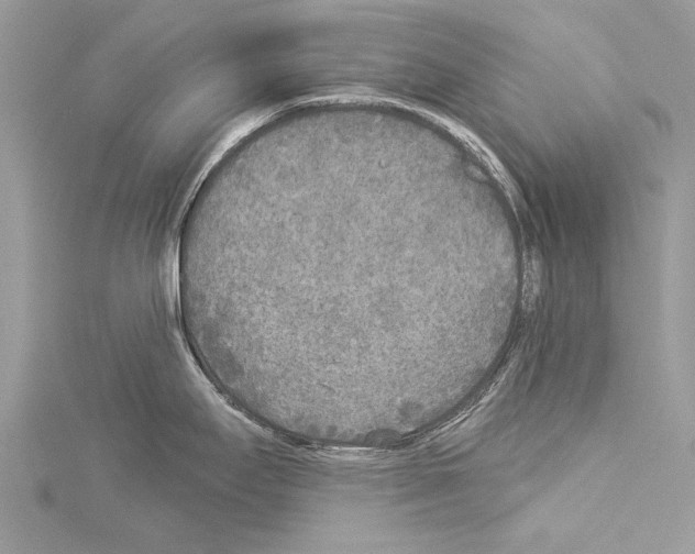 X0000114131295200911191115