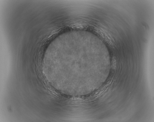 X0000114131297200911191114