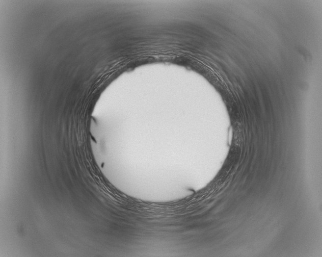 X0000114131298200911191114