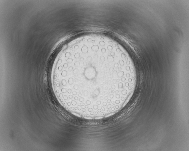 X0000114131307200911191114