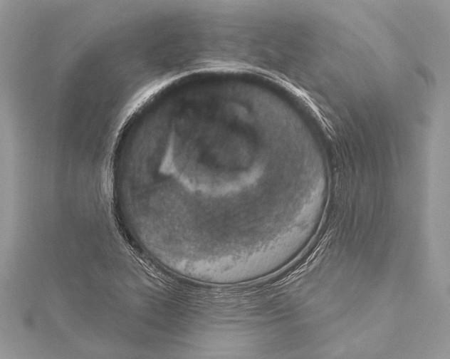 X0000114131319200911191114