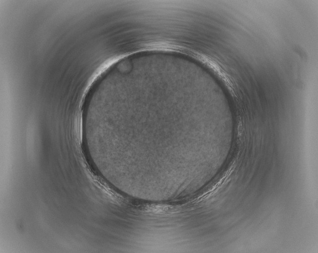 X0000114131323200911191114