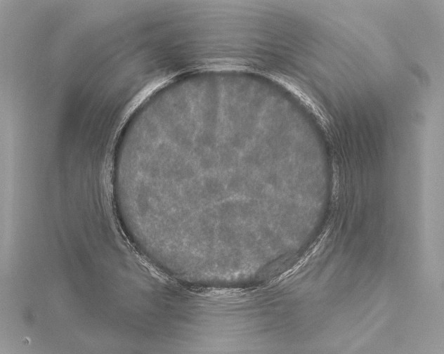 X0000114131325200911191114