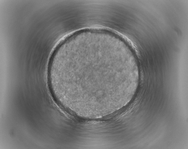 X0000114131327200911191114