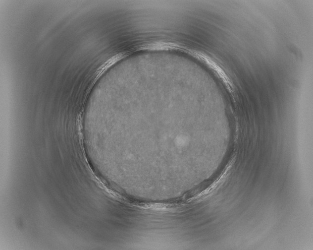 X0000114131329200911191114