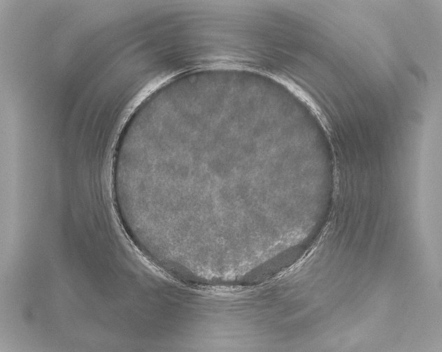 X0000114131333200911191114