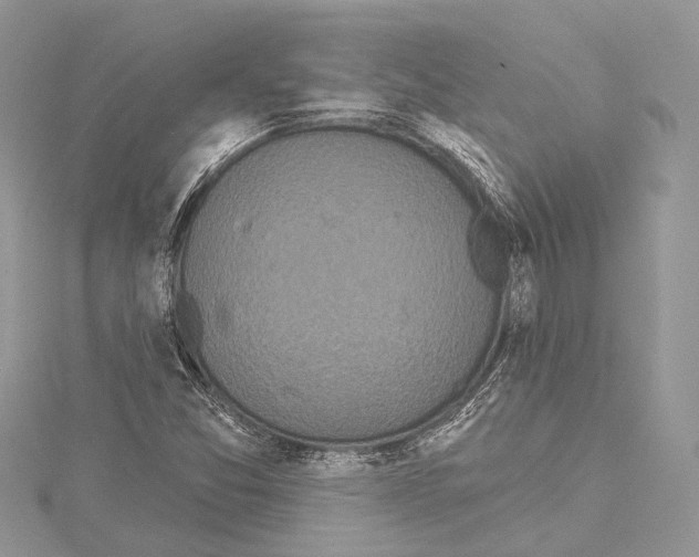 X0000114131357200911191114