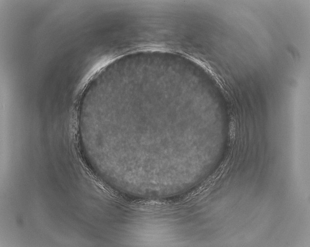 X0000114131359200911191114