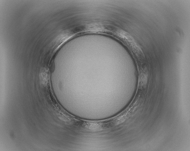 X0000114131361200911191114