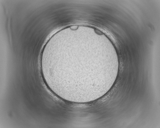 X0000114131382200911191113