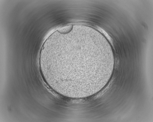 X0000114131386200911191113