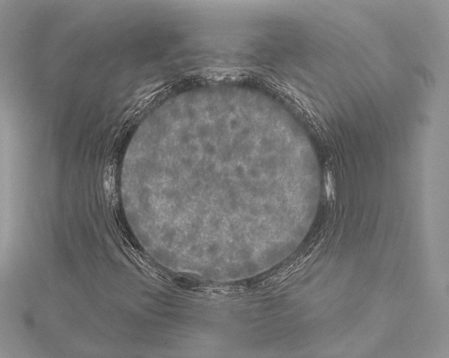 X0000114131396200911191113