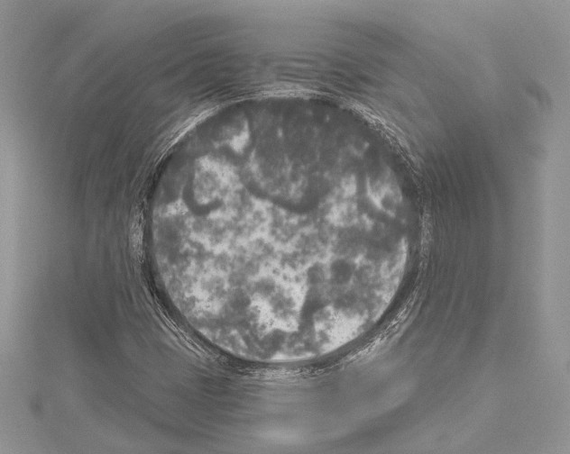 X0000114131401200911191113