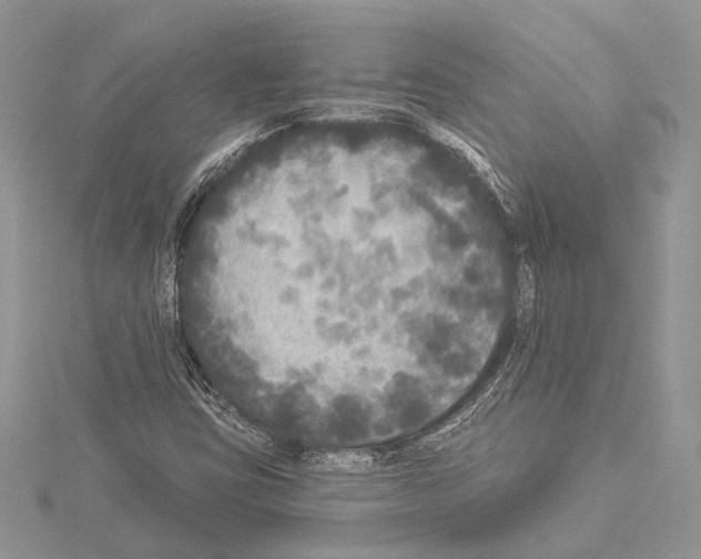 X0000114131403200911191113