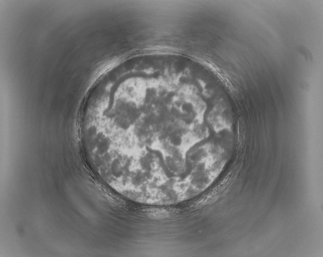 X0000114131405200911191113