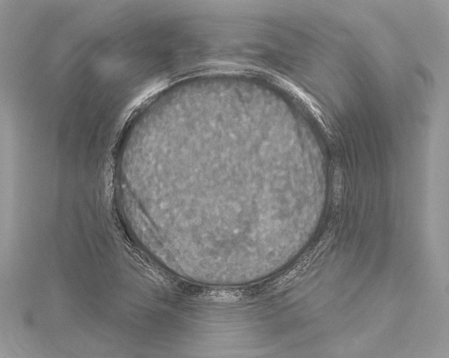 X0000114131411200911191113