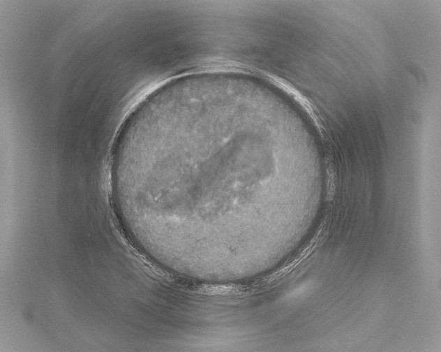 X0000114131415200911191113