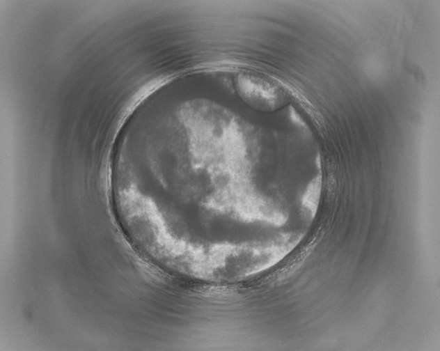 X0000114131418200911191113