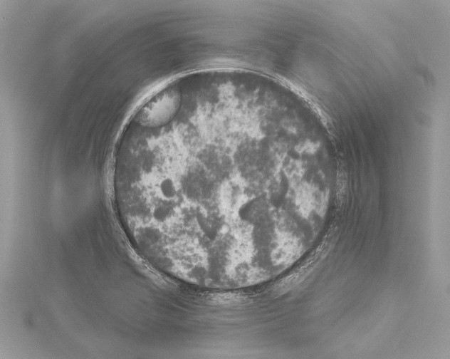 X0000114131421200911191113