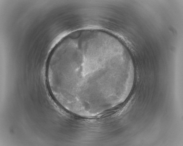 X0000114131422200911191113