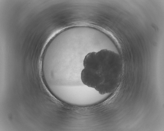 X0000114131424200911191113