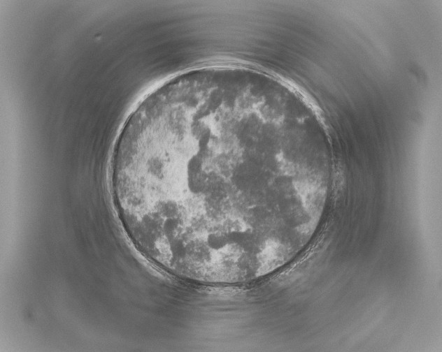 X0000114131429200911191113