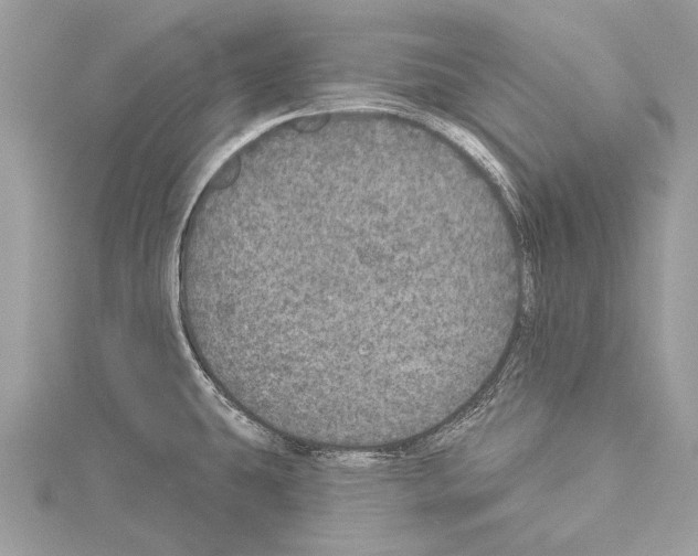 X0000114131431200911191113