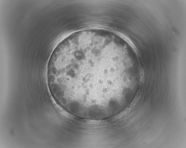 X0000114131439200911191113