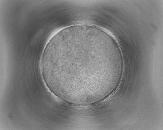 X0000114131440200911191113