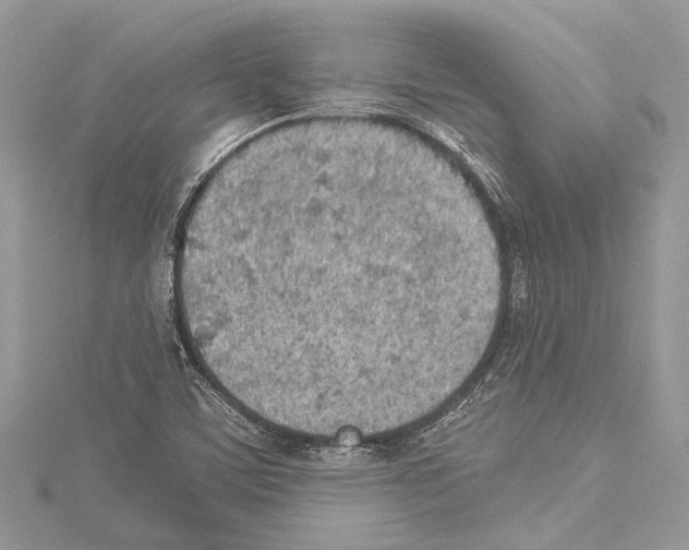 X0000114131459200911191112