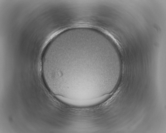 X0000114131461200911191112