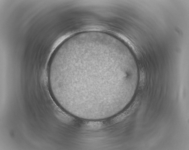 X0000114131466200911191112