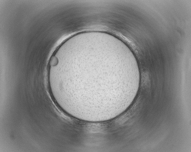 X0000114131470200911191112