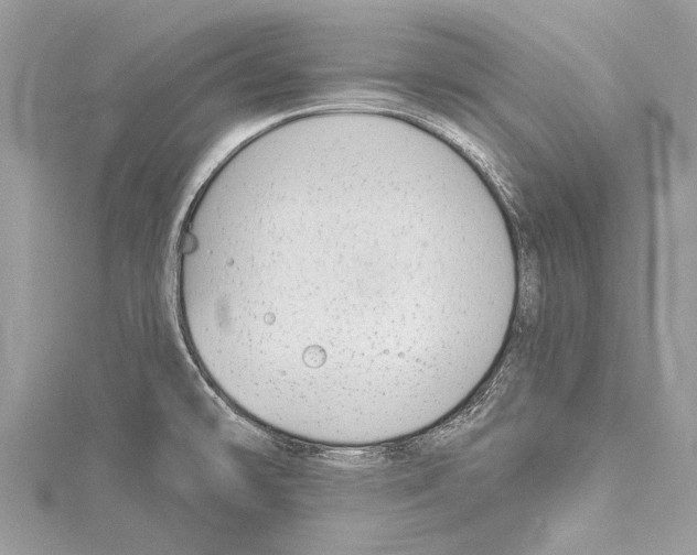 X0000114131478200911191112