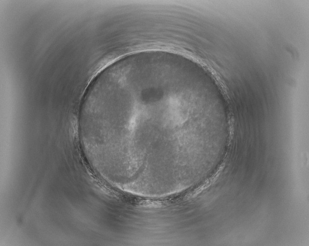 X0000114131505200911191112