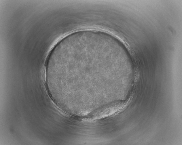 X0000114131509200911191112