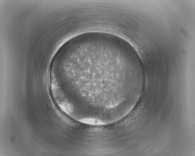 X0000114131515200911191112