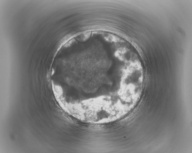 X0000114131529200911191112