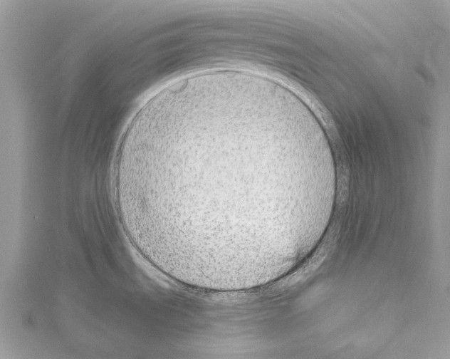 X0000114131535200911191112