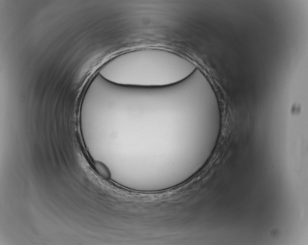 X0000114140002200910081037