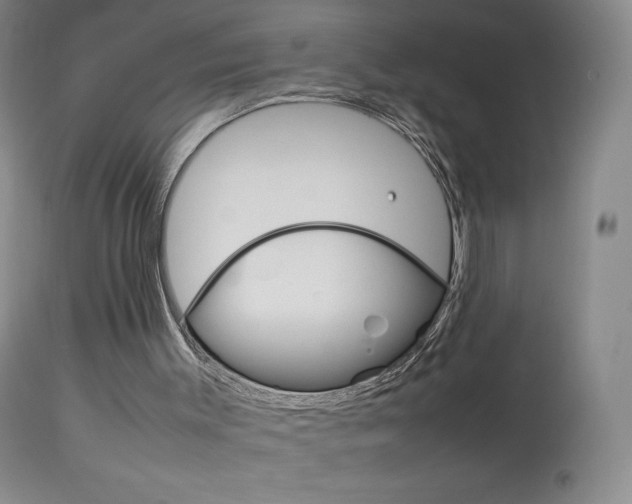 X0000114140003200910081037